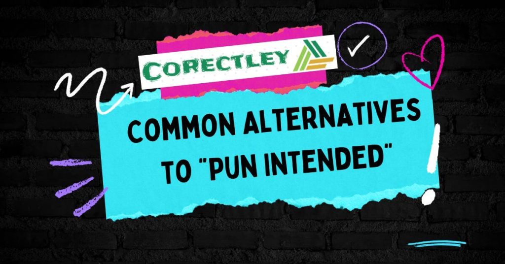 Common Alternatives to “Pun Intended”