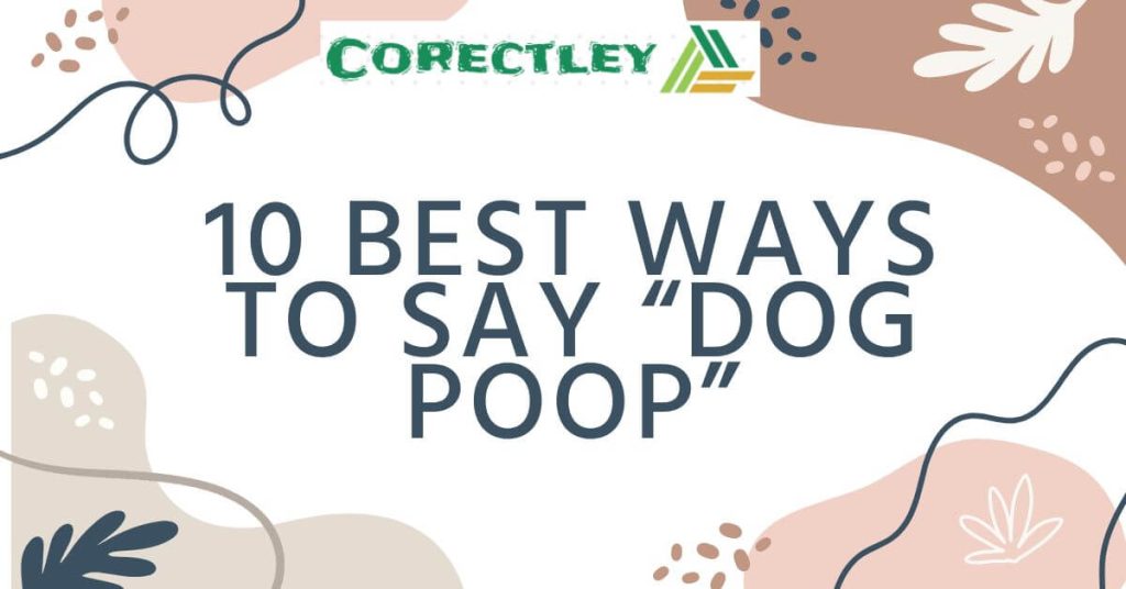 10 Best Ways to Say “Dog Poop”
