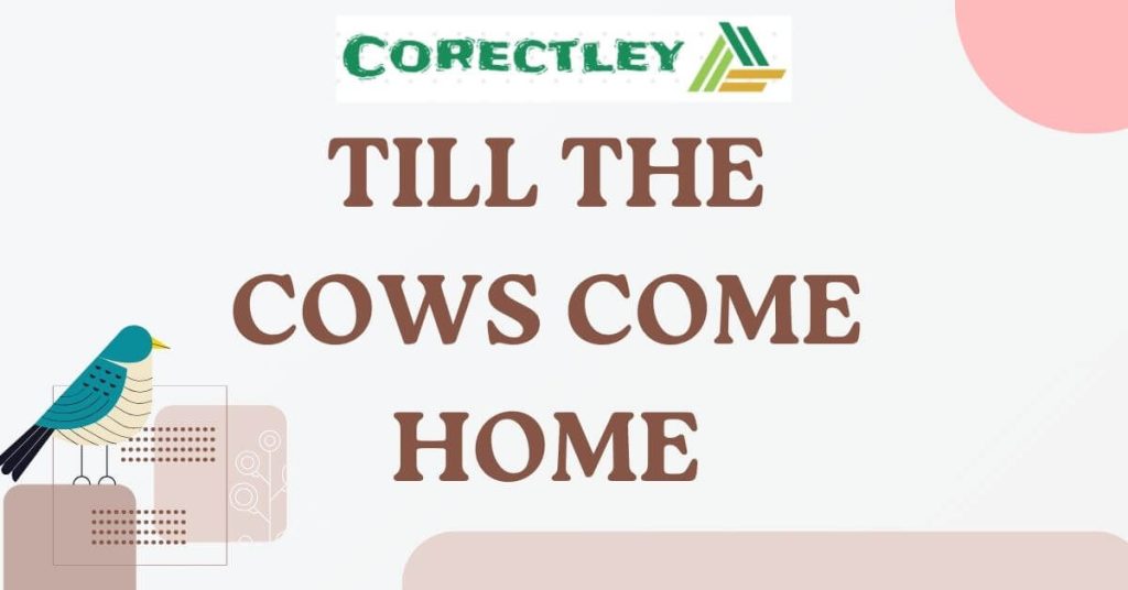 Till the cows come home